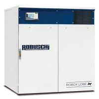 Промышленная роторная воздуходувка Рутса Robuschi ROBOX ES 55/2P