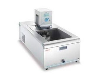 Термостат жидкостный Thermo Scientific SC100-A10B