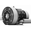 Воздуходувка промышленная вихревая Elektror 2SD 820 - 50/11,0