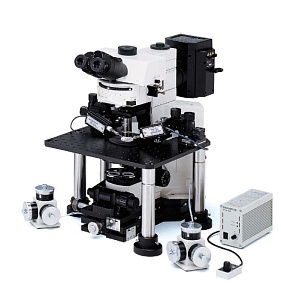 Флуоресцентный микроскоп Olympus BX61 WI