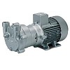 Моноблочный вакуумный водокольцевой насос Elmo Rietschle L-BV2 2BV2 071-8PH04-8S
