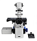 Сканирующий конфокальный микроскоп
